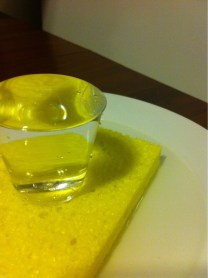 XP vessel and sponge