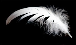 feather