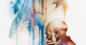 kingfishers catch fire